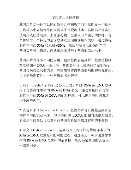 基因芯片名词解释