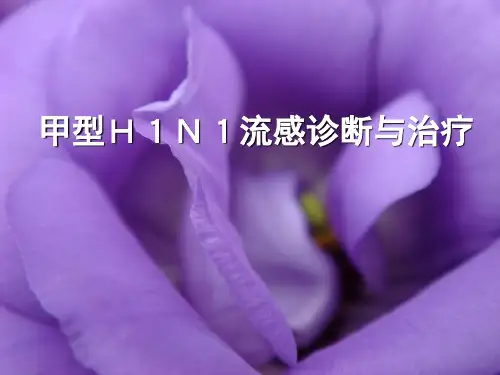 甲型H1N1流感诊断与治疗PPT