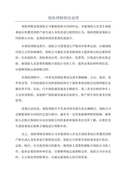 保险理赔情况说明