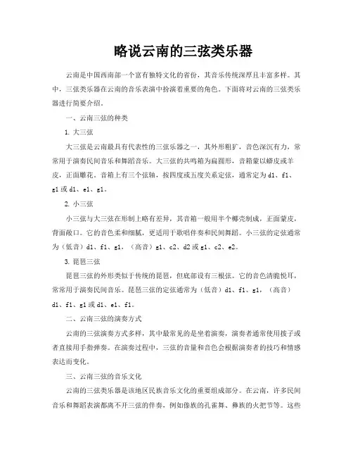 略说云南的三弦类乐器