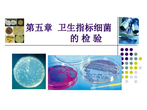 第五章 卫生指标菌的检测OKPPT课件