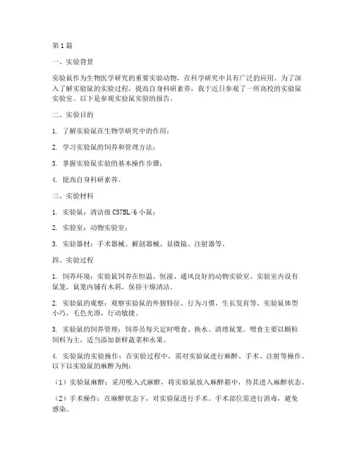 参观实验鼠的实验报告(3篇)