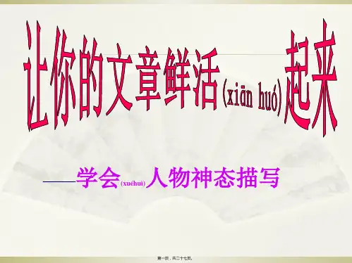 人物神态描写教学课件公开课(共27张PPT)