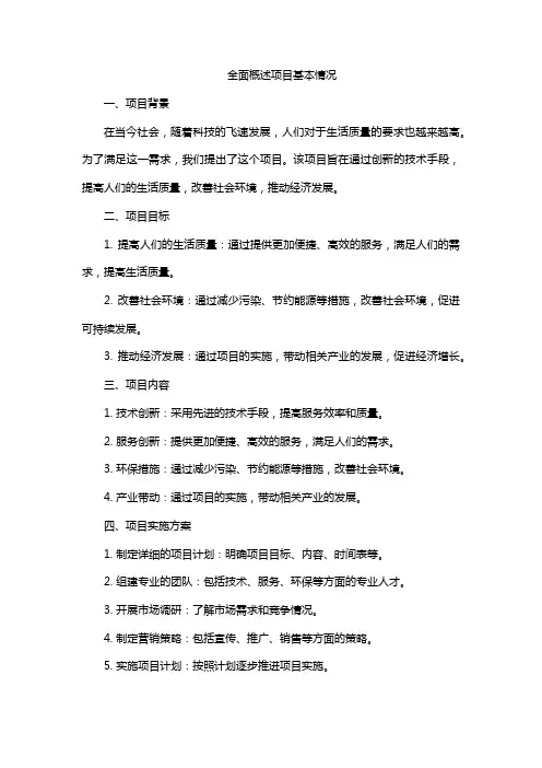 全面概述项目基本情况