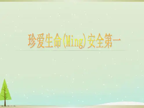 主题班会珍爱生命安全第一课件ppt