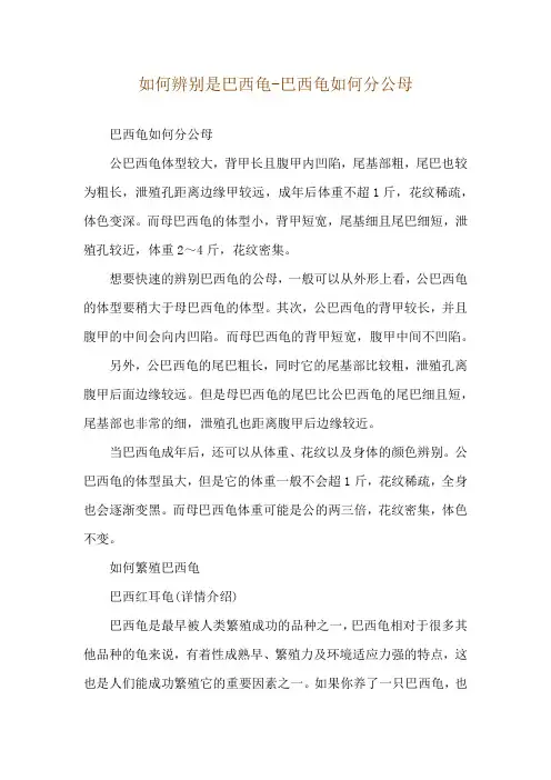 如何辨别是巴西龟-巴西龟如何分公母