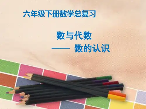 人教版六年级下册数学总复习数与代数1-数的认识
