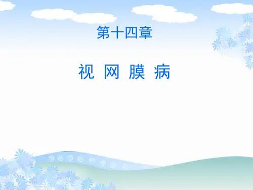 眼科学：视网膜病