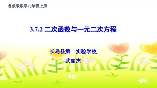 一元二次方程组的图像解法