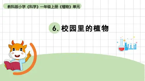 《校园里的植物》小学科学一年级上册PPT课件