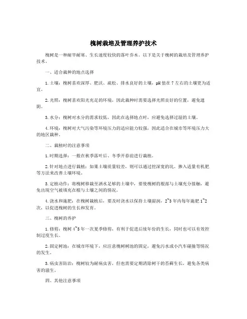 槐树栽培及管理养护技术