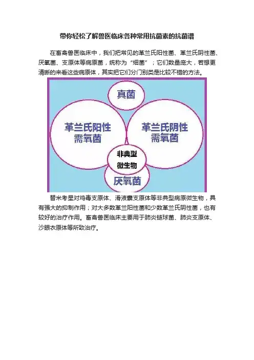 带你轻松了解兽医临床各种常用抗菌素的抗菌谱