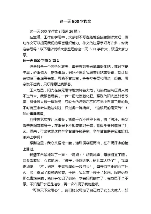 这一天500字作文