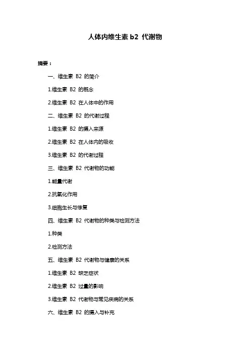 人体内维生素b2 代谢物