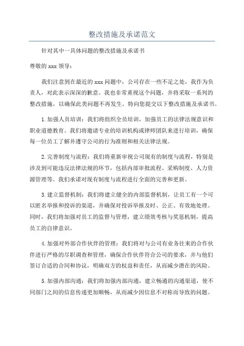 整改措施及承诺范文