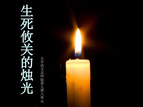 《生死攸关的烛光》第二课时教学设计1