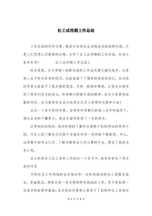 社工试用期工作总结