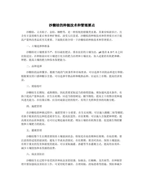 沙糖桔的种植技术和管理要点