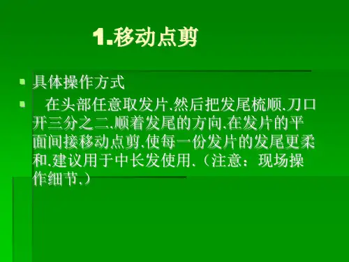 剪发精剪刀法训练ppt课件