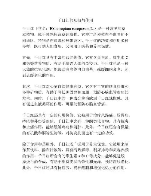 千日红的功效与作用