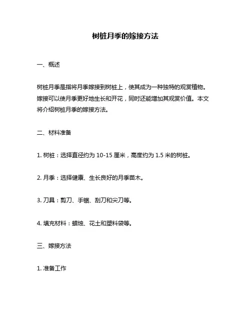 树桩月季的嫁接方法