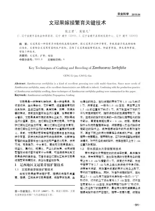 文冠果嫁接繁育关键技术