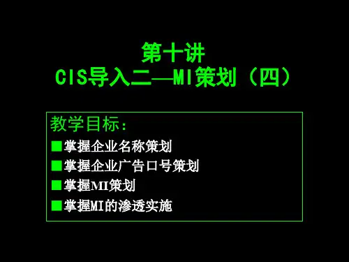 10第十讲 CIS的的策划的MI部分精品教育文档