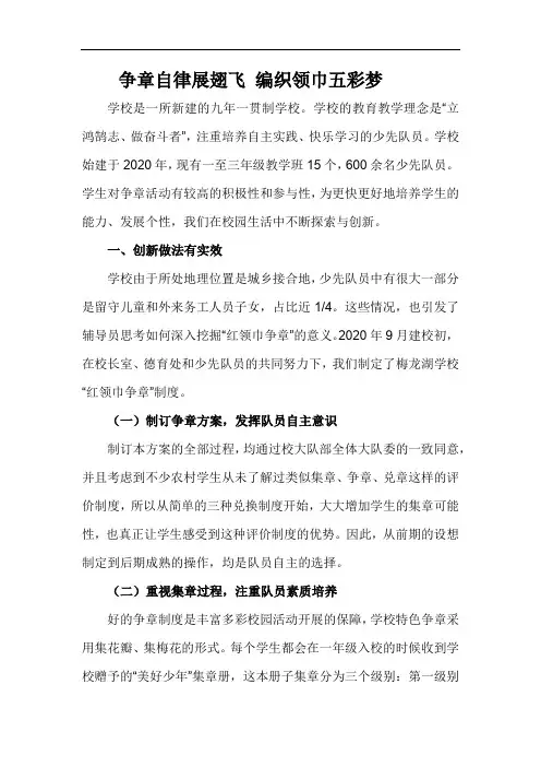 争章自律展翅飞 编织领巾五彩梦