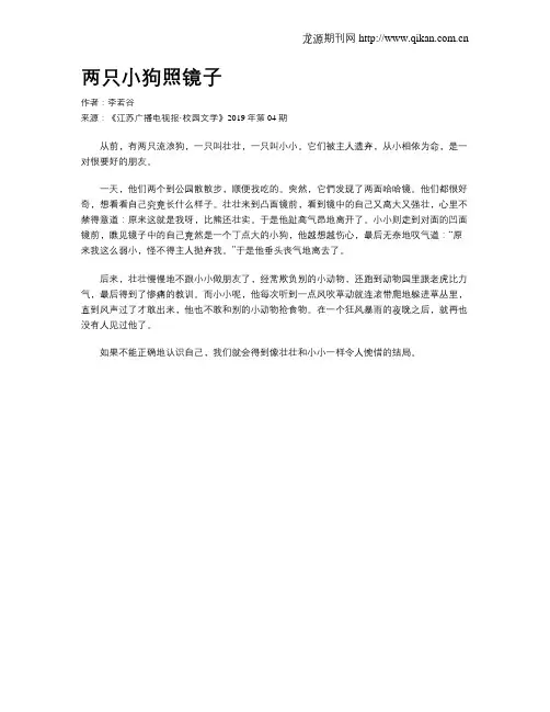 两只小狗照镜子