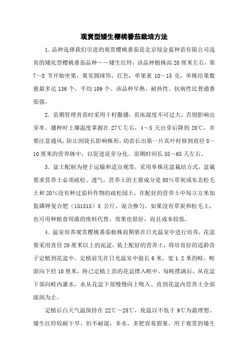 观赏型矮生樱桃番茄栽培方法