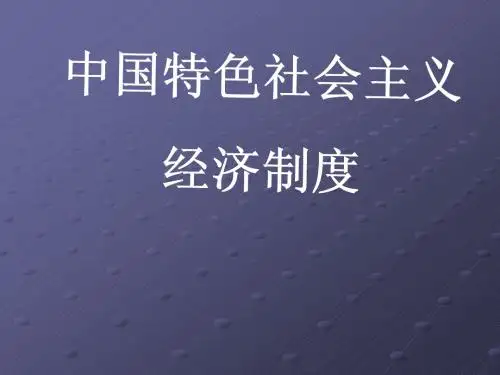 中国特色社会主义经济制度