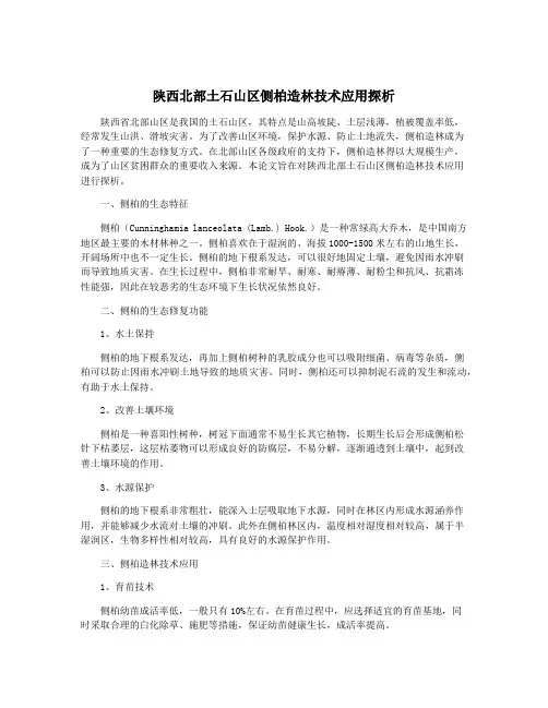 陕西北部土石山区侧柏造林技术应用探析