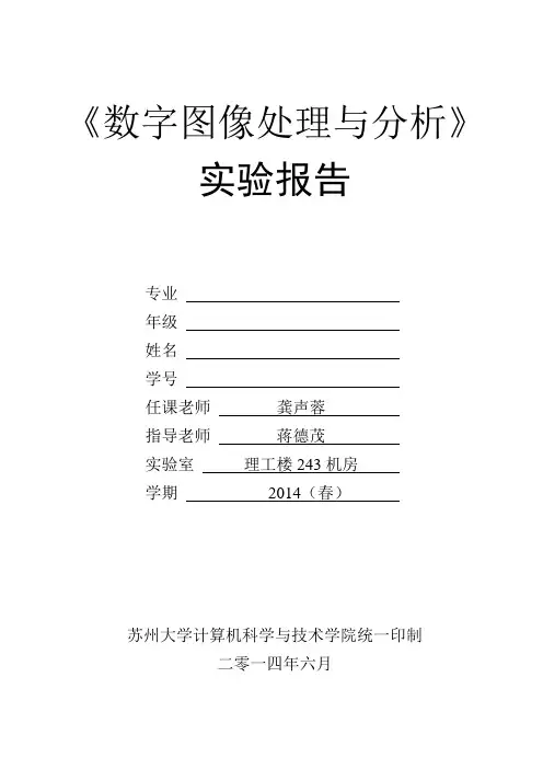 图像处理与分析实验报告格式