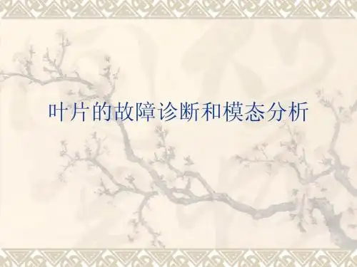 叶片模态分析