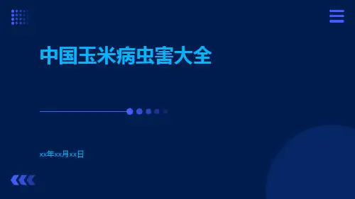 中国玉米病虫害大全(共174张PPT)