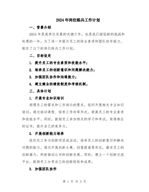 2024年岗位练兵工作计划