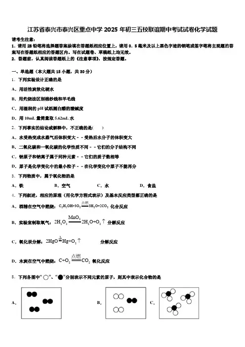 江苏省泰兴市泰兴区重点中学2025年初三五校联谊期中考试试卷化学试题含解析