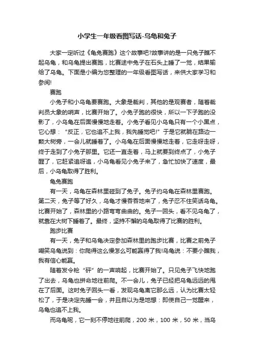 小学生一年级看图写话-乌龟和兔子