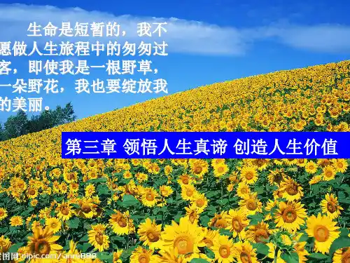 思想道德修养与法律基础 第三章