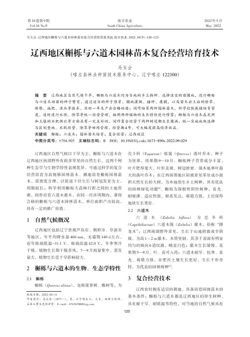 辽西地区槲栎与六道木园林苗木复合经营培育技术