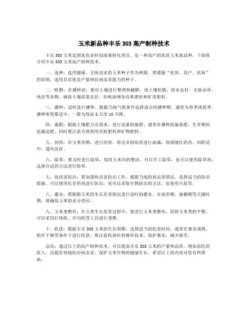 玉米新品种丰乐303高产制种技术