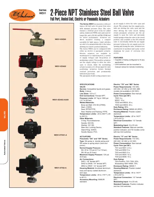 自动阀门 VALVES The Series WE01说明书