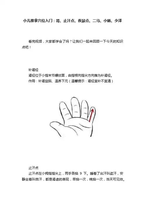 小儿推拿穴位入门：肾、止汗点、夜尿点、二马、小肠、少泽