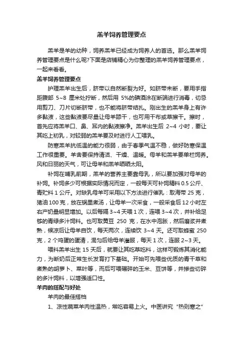 羔羊饲养管理要点
