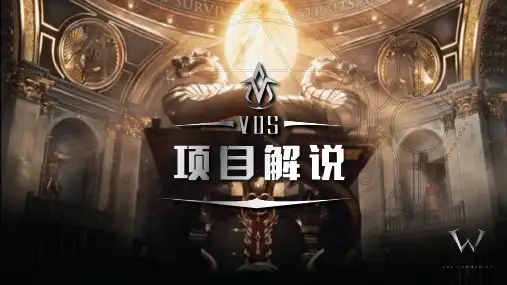 数字资产VDS项目解说