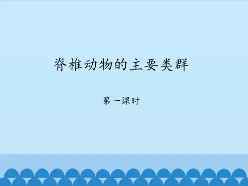 济南出版社初中初一七年级上册生物：脊椎动物的主要类群-第一课时_课件1