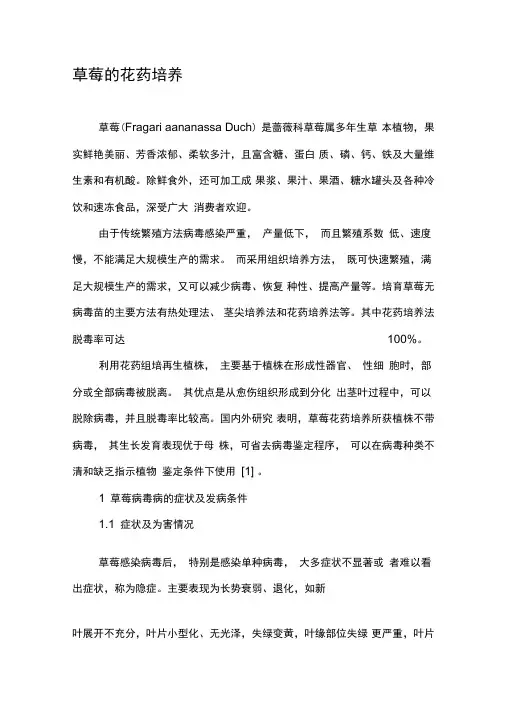草莓的花药培养