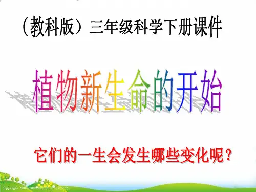 【教科版】小学科学《植物新生命的开始》PPT-课件详解1
