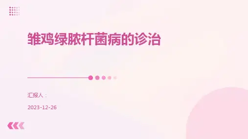 雏鸡绿脓杆菌病的诊治