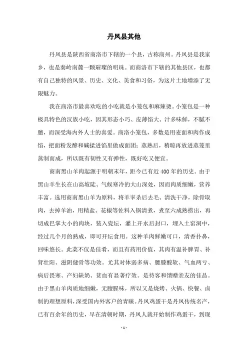 丹凤县其他